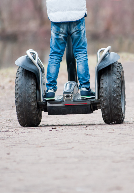 Segway Safari