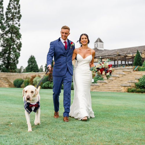 <p>Doggie Best Man</p>