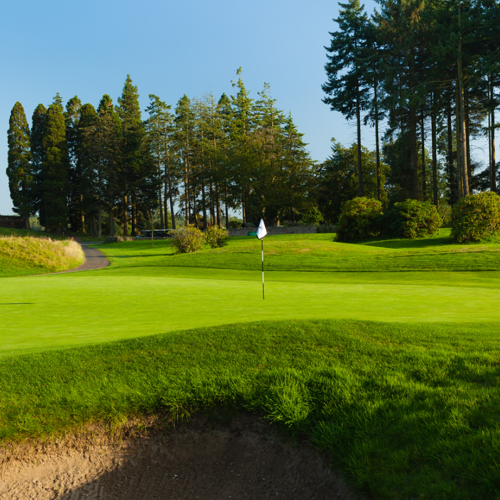 <p>HUNTING COURSE 18TH GREEN</p>