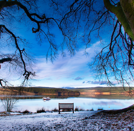 <strong>Kielder Water &amp; Forest Park</strong>