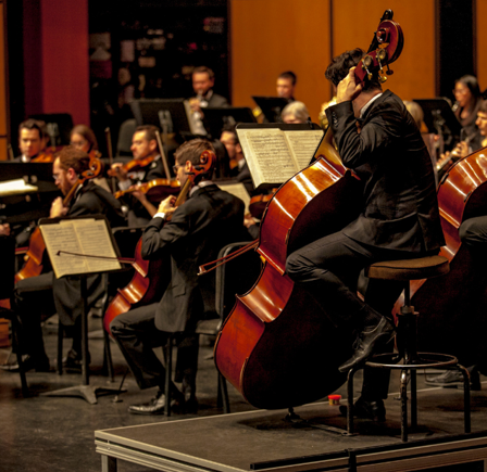 <strong>Viennese Christmas Spectacular</strong>