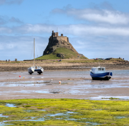 <strong><span class="NormalTextRun SCXW78840235 BCX8">HOLY ISLAND</span></strong>