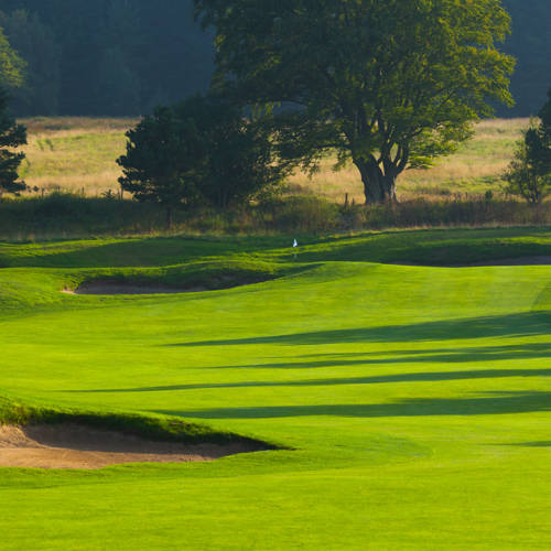 <p>HUNTING COURSE 1ST HOLE</p>