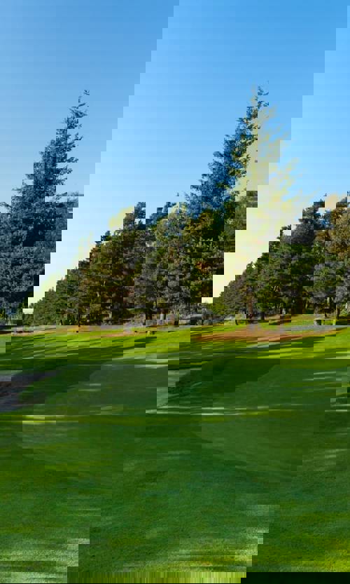 <span class="NormalTextRun SCXW90846950 BCX8">COURSE INFORMATION</span>